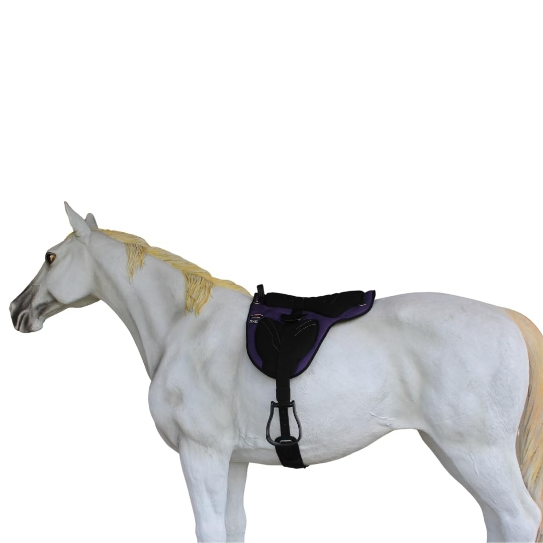 Neoprene Padded Bareback Saddle Pad Cinch Q5028