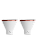 Vacuum Insulated Stainless Steel Martini Glass Set of 2, 8 oz R770