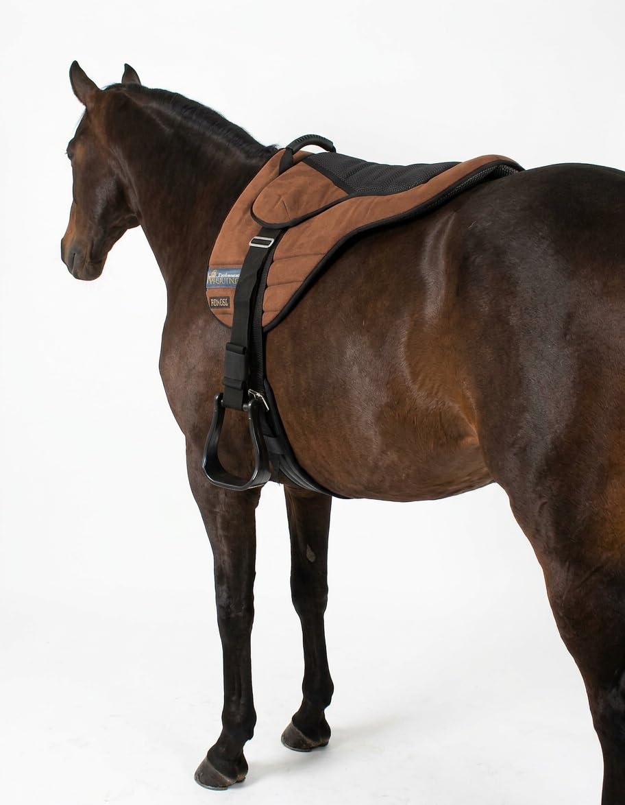 Lightweight Neoprene Padded Bareback Saddle Pad S512