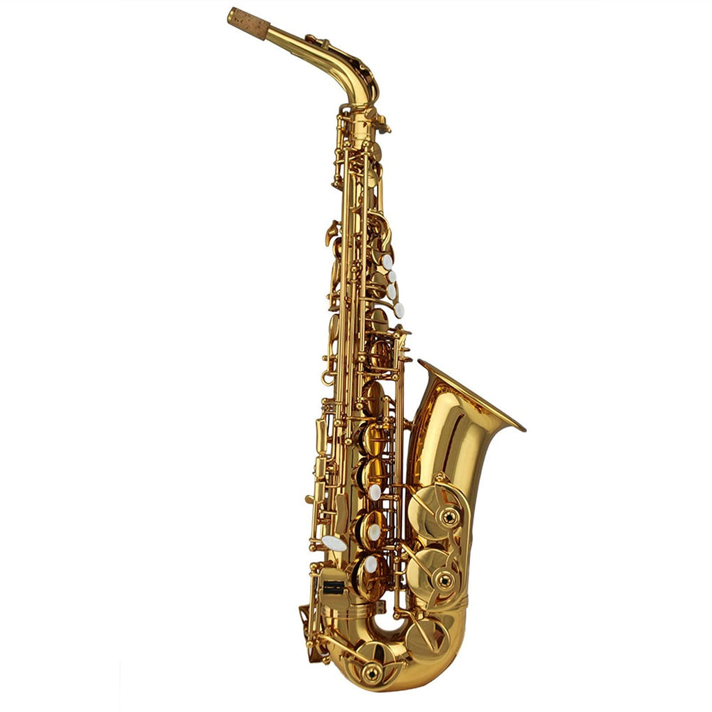 Alto Saxophone Set N62697