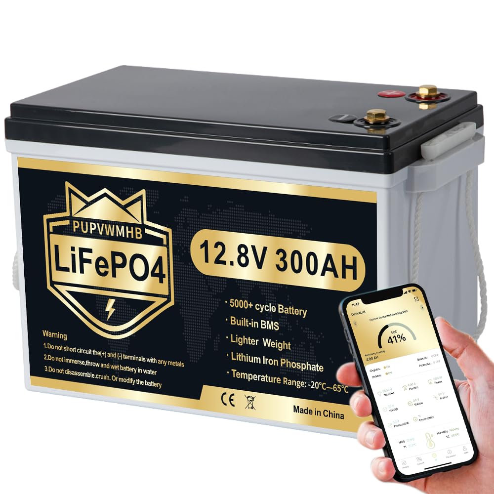300Ah Lithium LiFePO4 Battery with Bluetooth M318