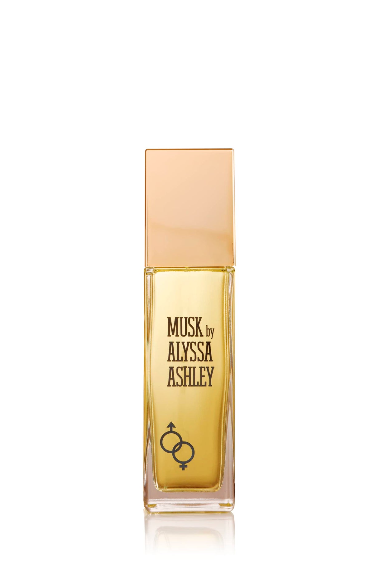 Musk Citrus Sicilian Bergamot 3.4 oz EDT Spray T728
