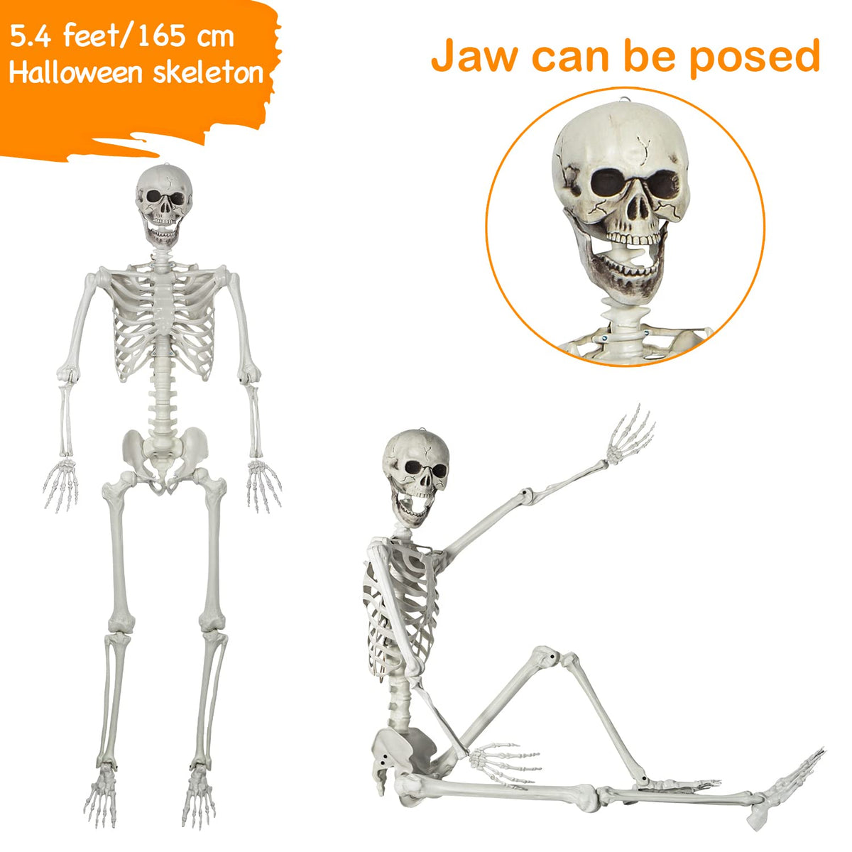 5.4ft Posable Full Body Skeleton with Movable Joints J326