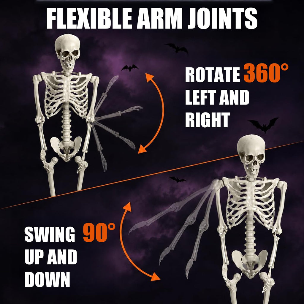 Life Size Full Body Skeleton W5074