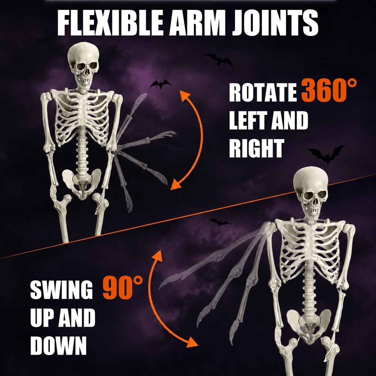 Life Size Full Body Skeleton W5074