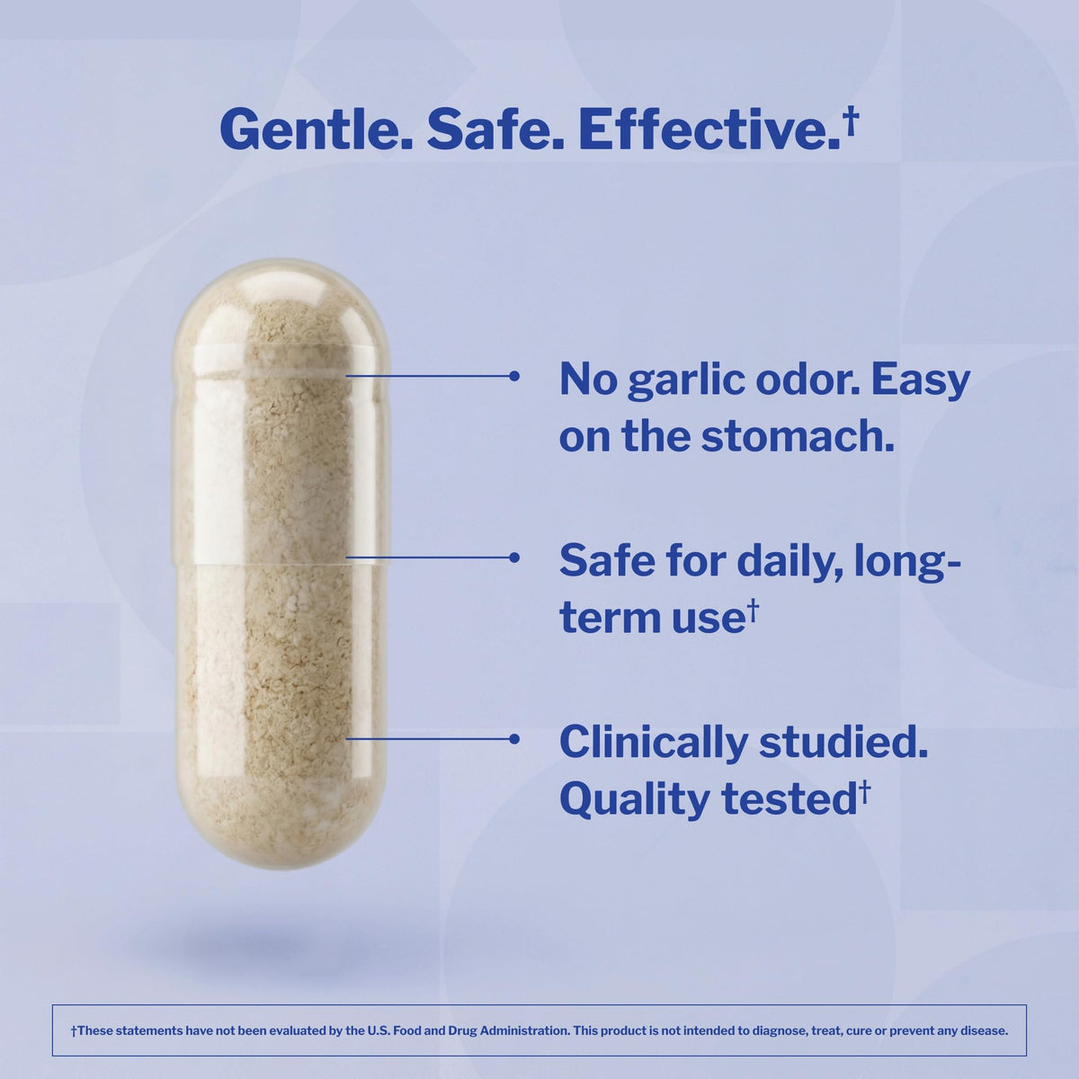 Aged Garlic Extract 240 Capsules Y884079