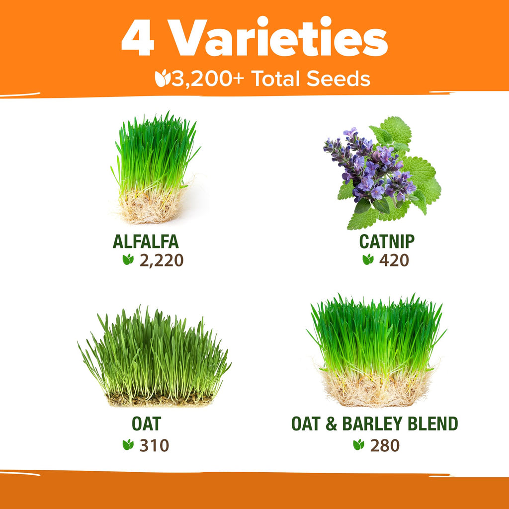 Indoor Cat Grass Refill 3,200+ Seeds G9168
