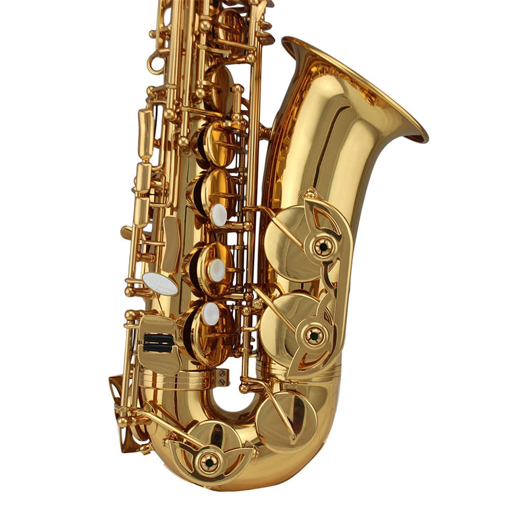 Alto Saxophone Set N62697