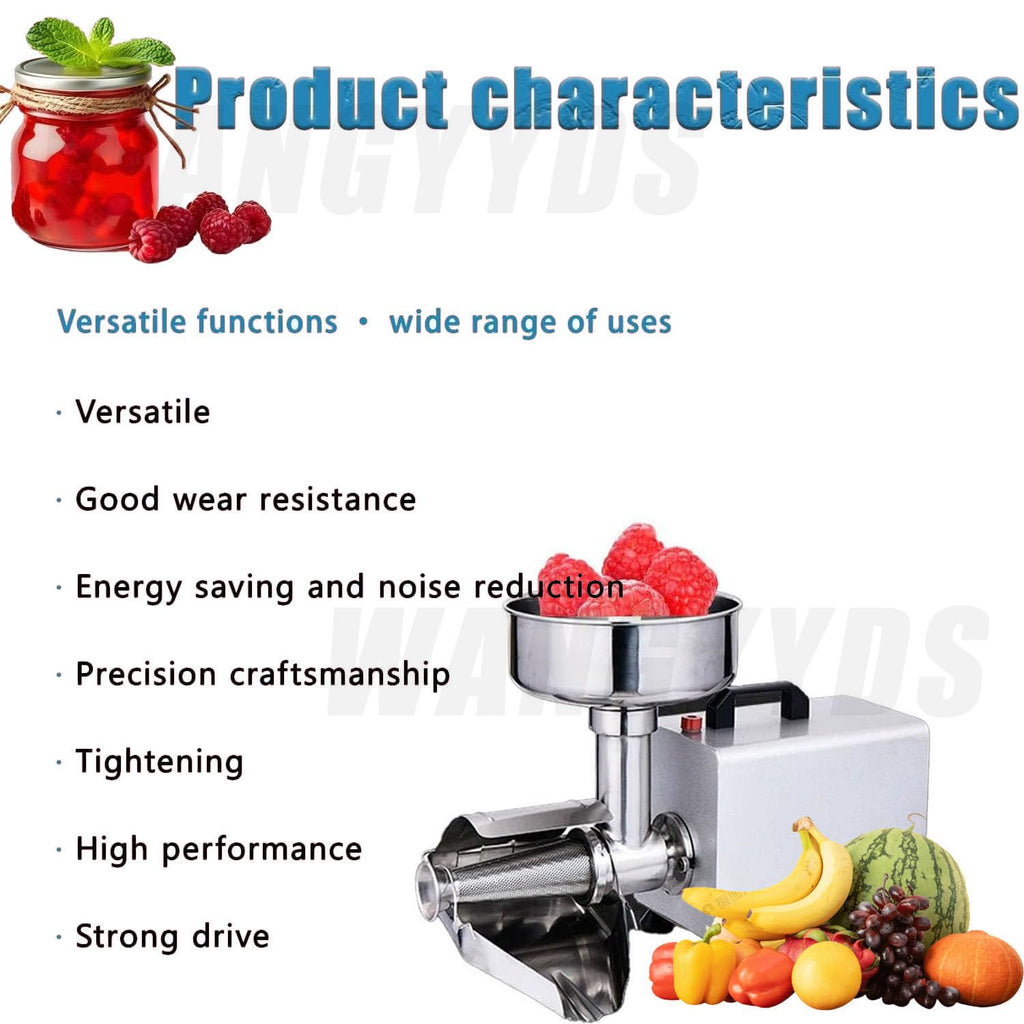 450W Stainless Steel Tomato Strainer C276167