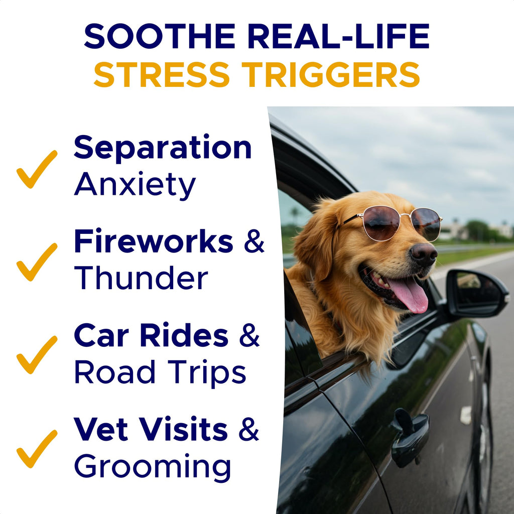 Calming Chews for Dogs 60Ct E357