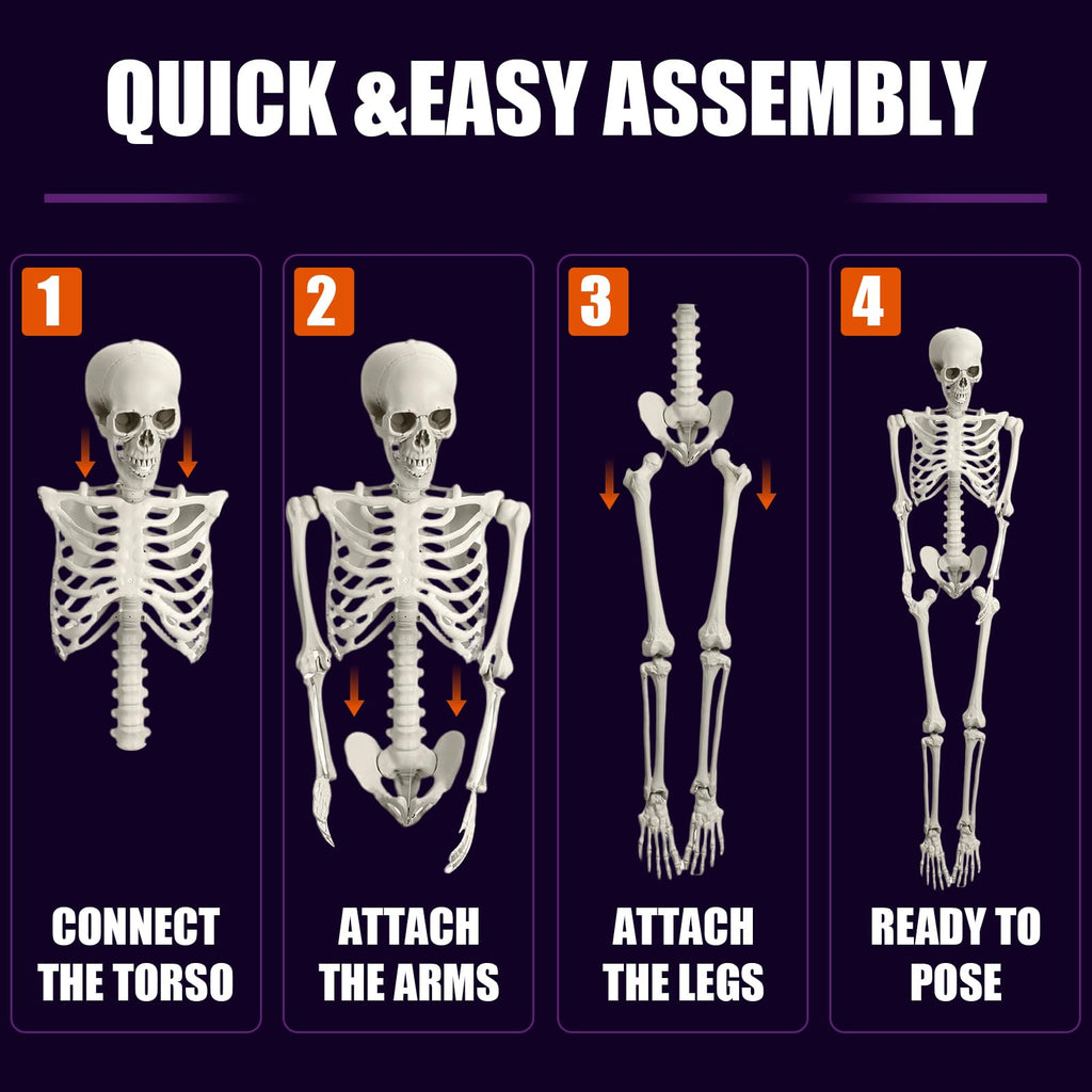 Life Size Full Body Skeleton W5074