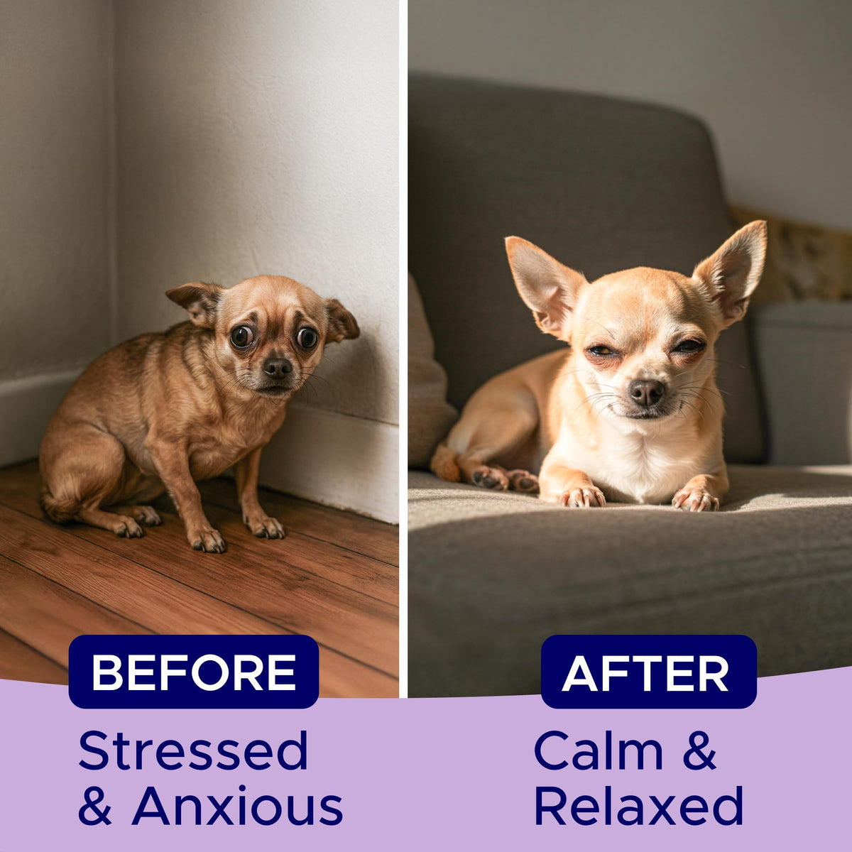 Calming Chews for Dogs 60Ct E357
