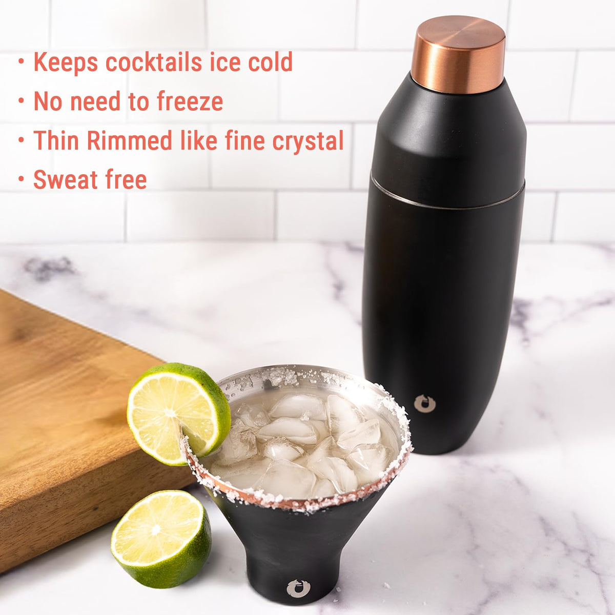 Vacuum Insulated Stainless Steel Martini Glass Set of 2, 8 oz R770