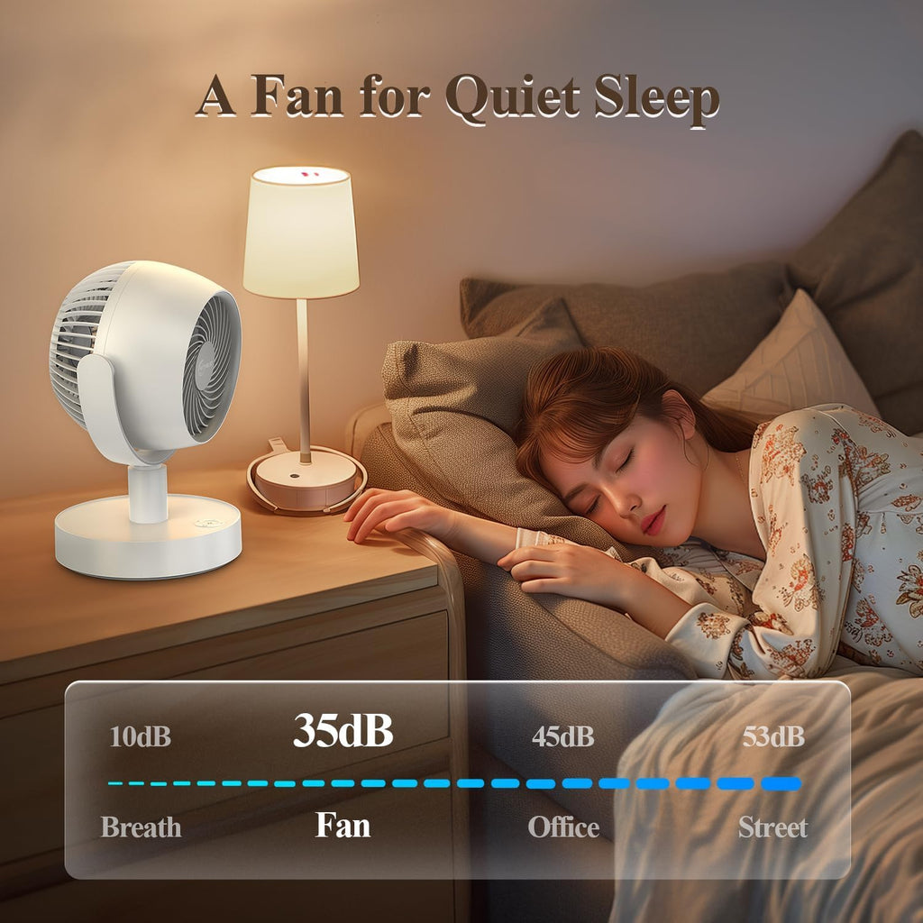 Portable Air Circulator Fan G824460