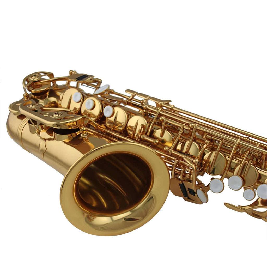 Alto Saxophone Set N62697