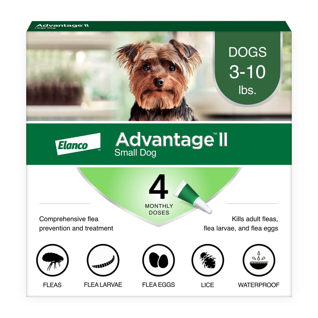 Small Dog Flea Treatment & Prevention 4-Month Supply M916