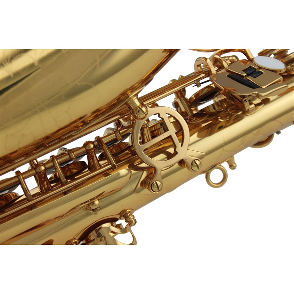 Alto Saxophone Set N62697