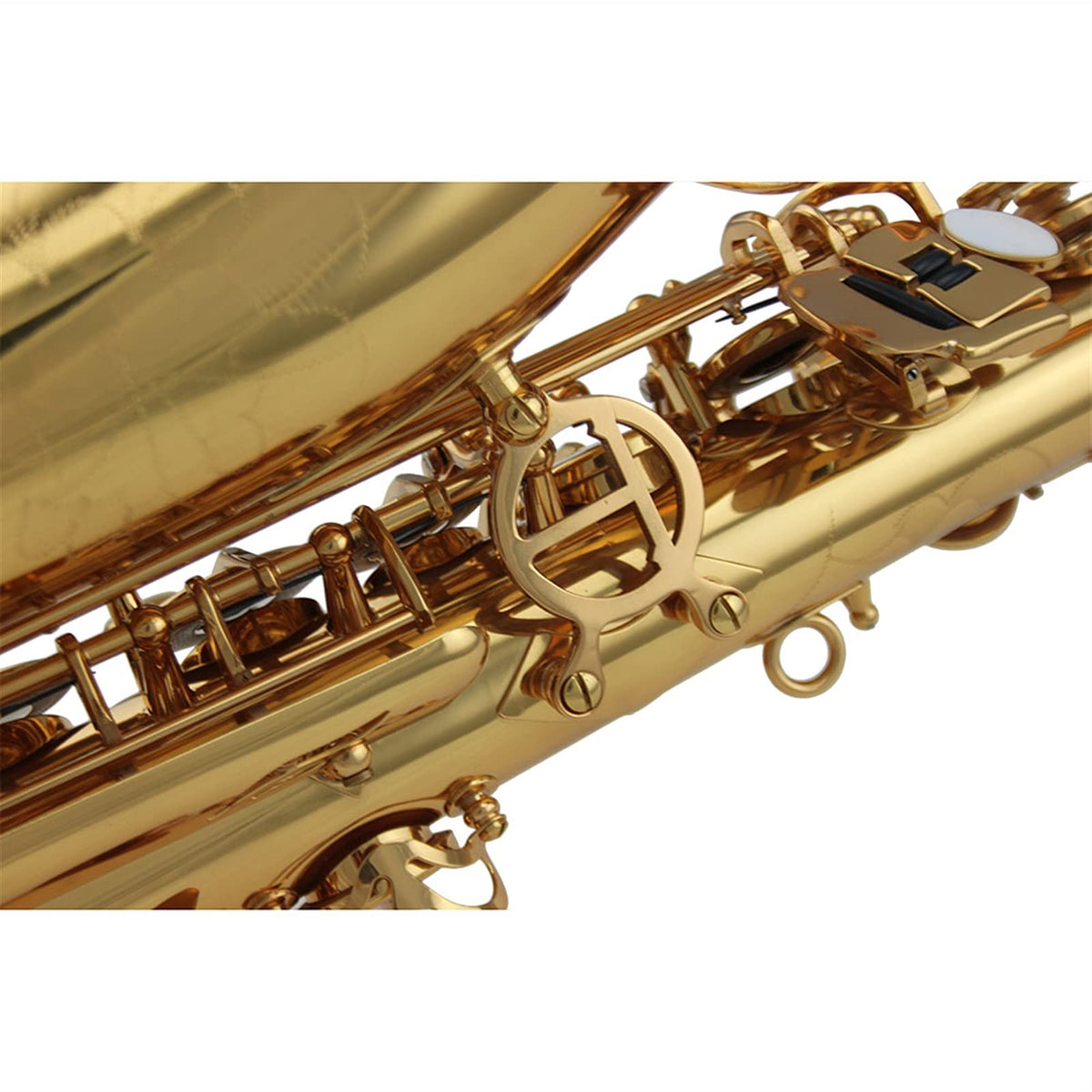 Alto Saxophone Set N62697