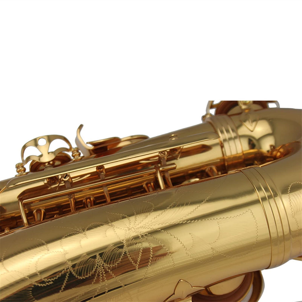 Alto Saxophone Set N62697