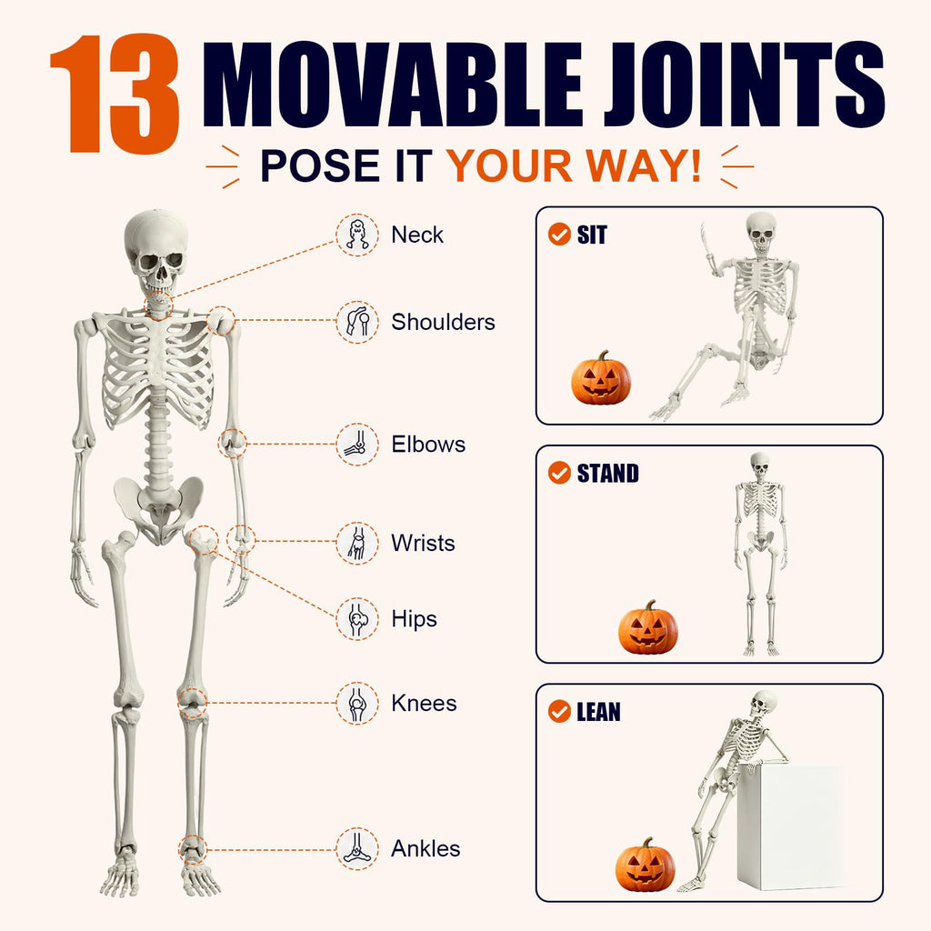 Life Size Full Body Skeleton W5074