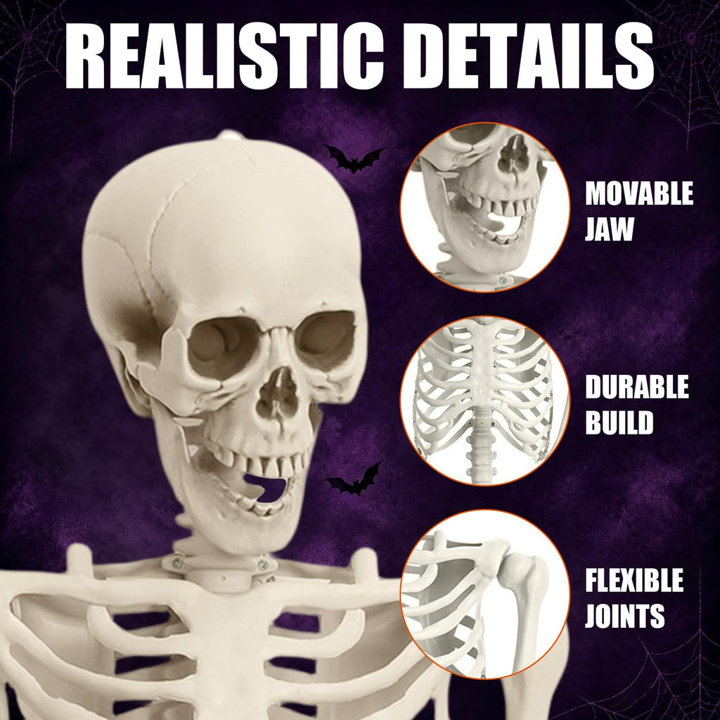 Life Size Full Body Skeleton W5074