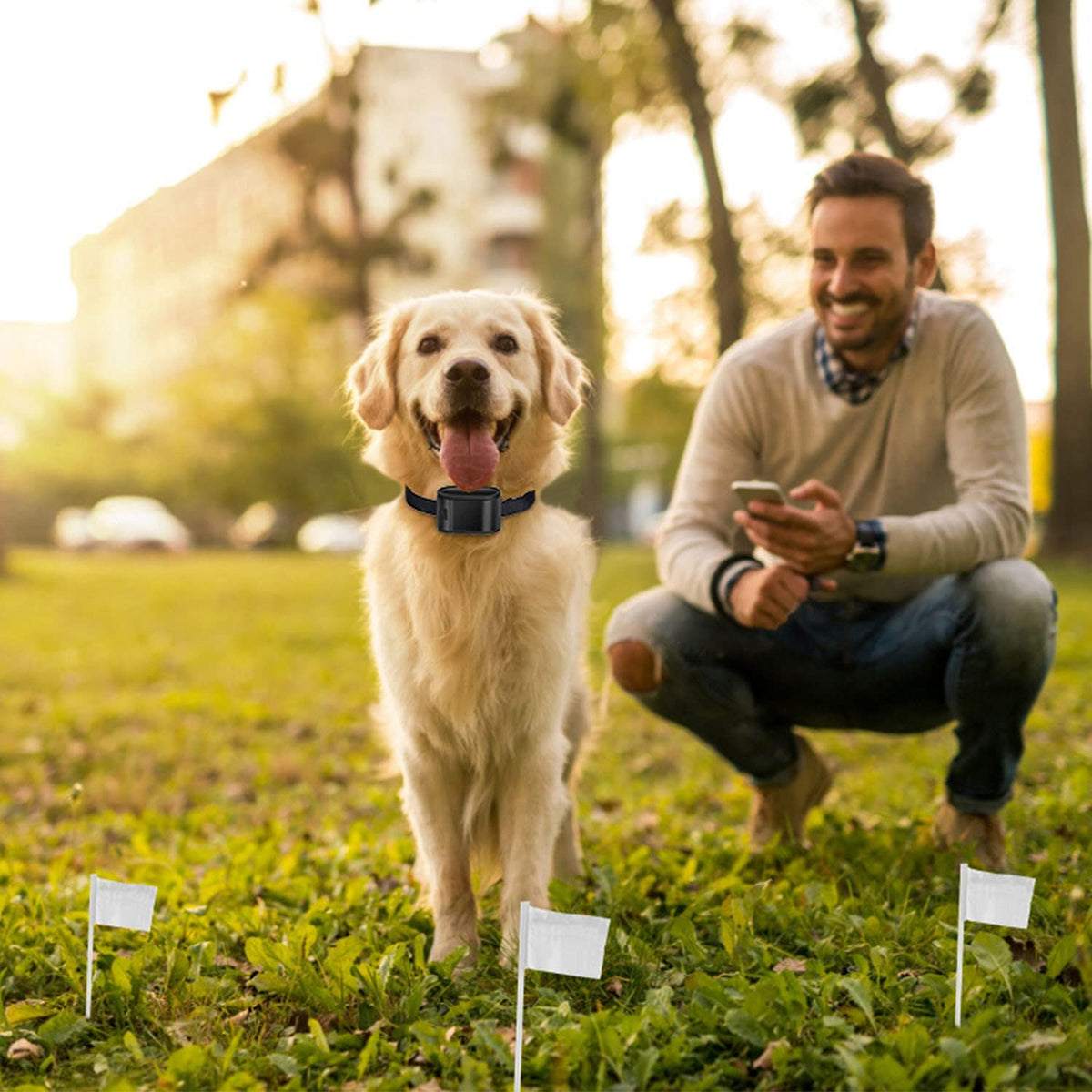 Electric Dog Fence System with 2 Collars V204