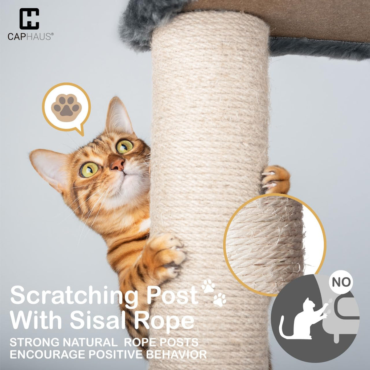 Extra Large 80-Inch Tall Cat Tree with Scratching Posts Q7705