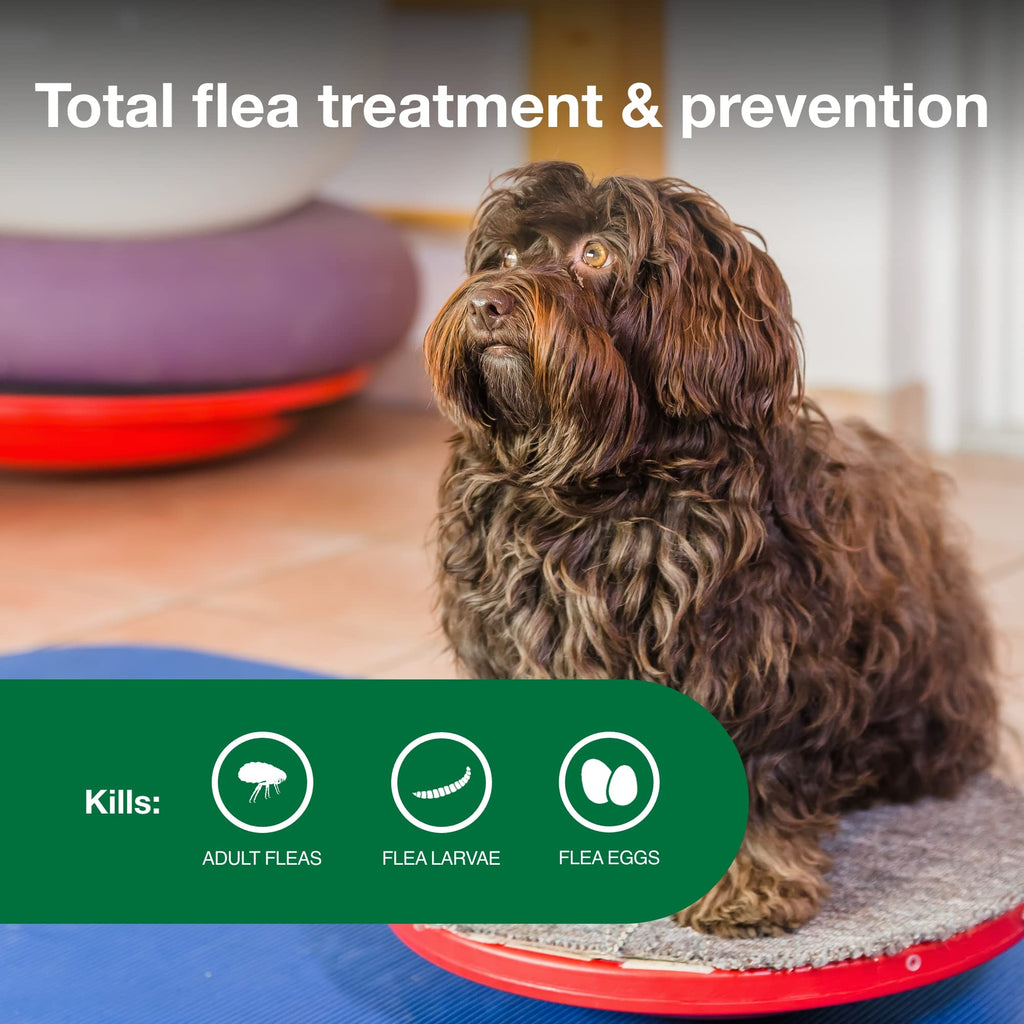 Small Dog Flea Treatment & Prevention 4-Month Supply M916