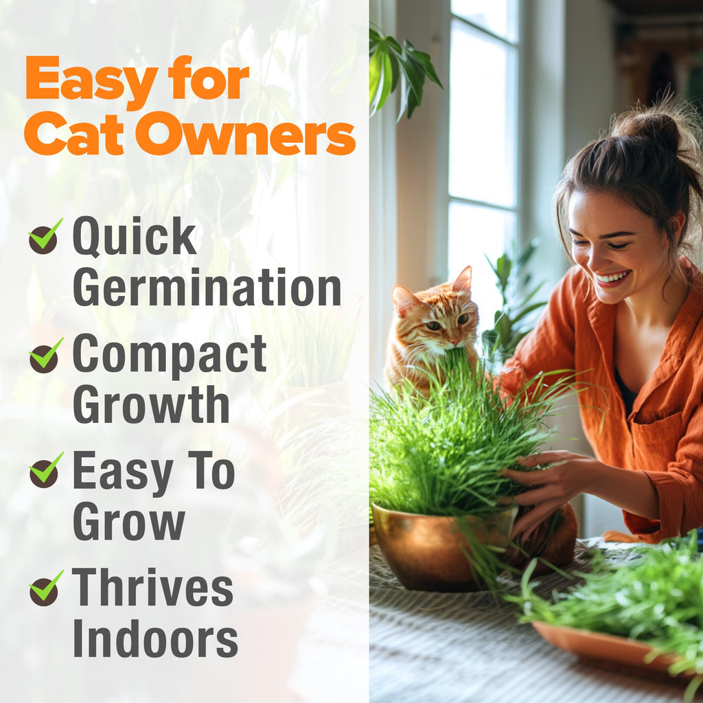 Indoor Cat Grass Refill 3,200+ Seeds G9168