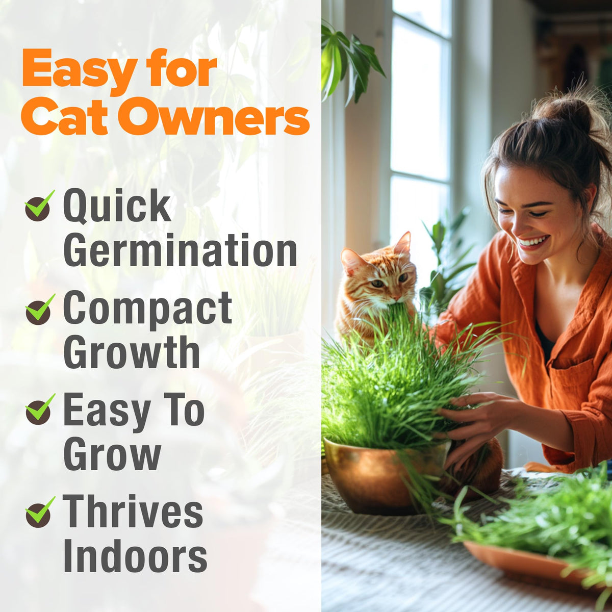 Indoor Cat Grass Refill 3,200+ Seeds G9168