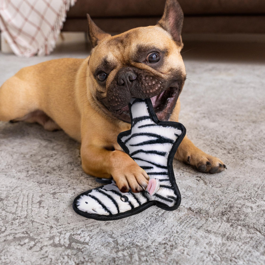 Crinkle Squeaky Plush Dog Toys 5 Pack X6484