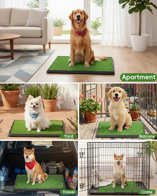 25" x 20" Artificial Grass Dog Potty Training Pad with Tray F363955