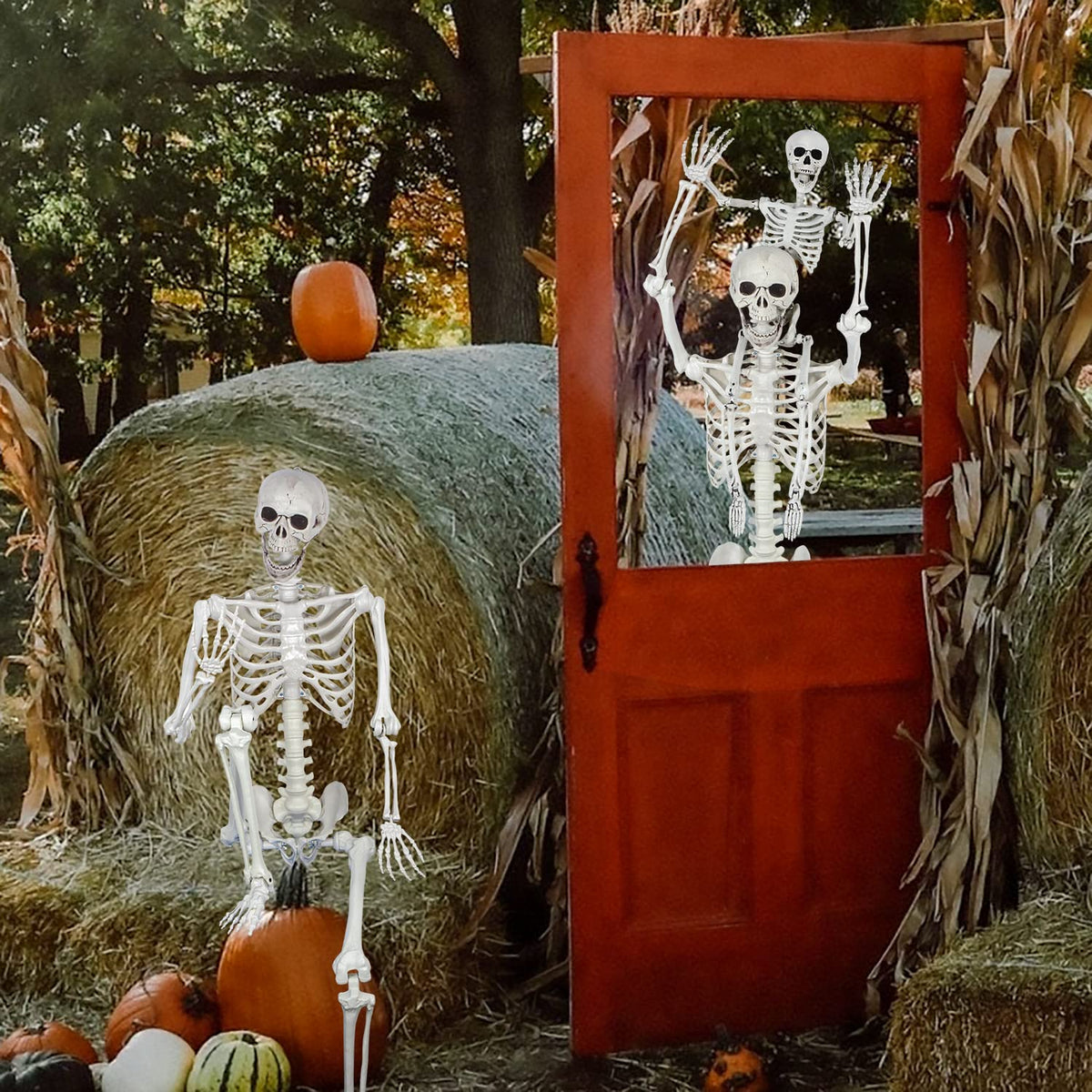 5.4ft Posable Full Body Skeleton with Movable Joints J326