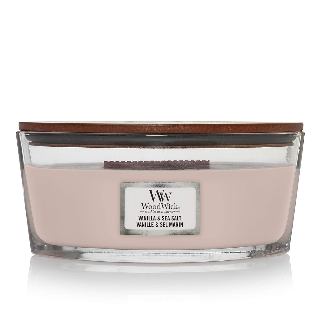 Vanilla & Sea Salt and Humidor Scented Candles 16oz N393571