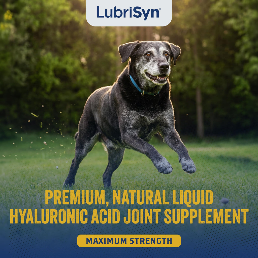 Hyaluronic Acid Hip & Joint Supplement for Dogs & Cats, 16 oz K85257