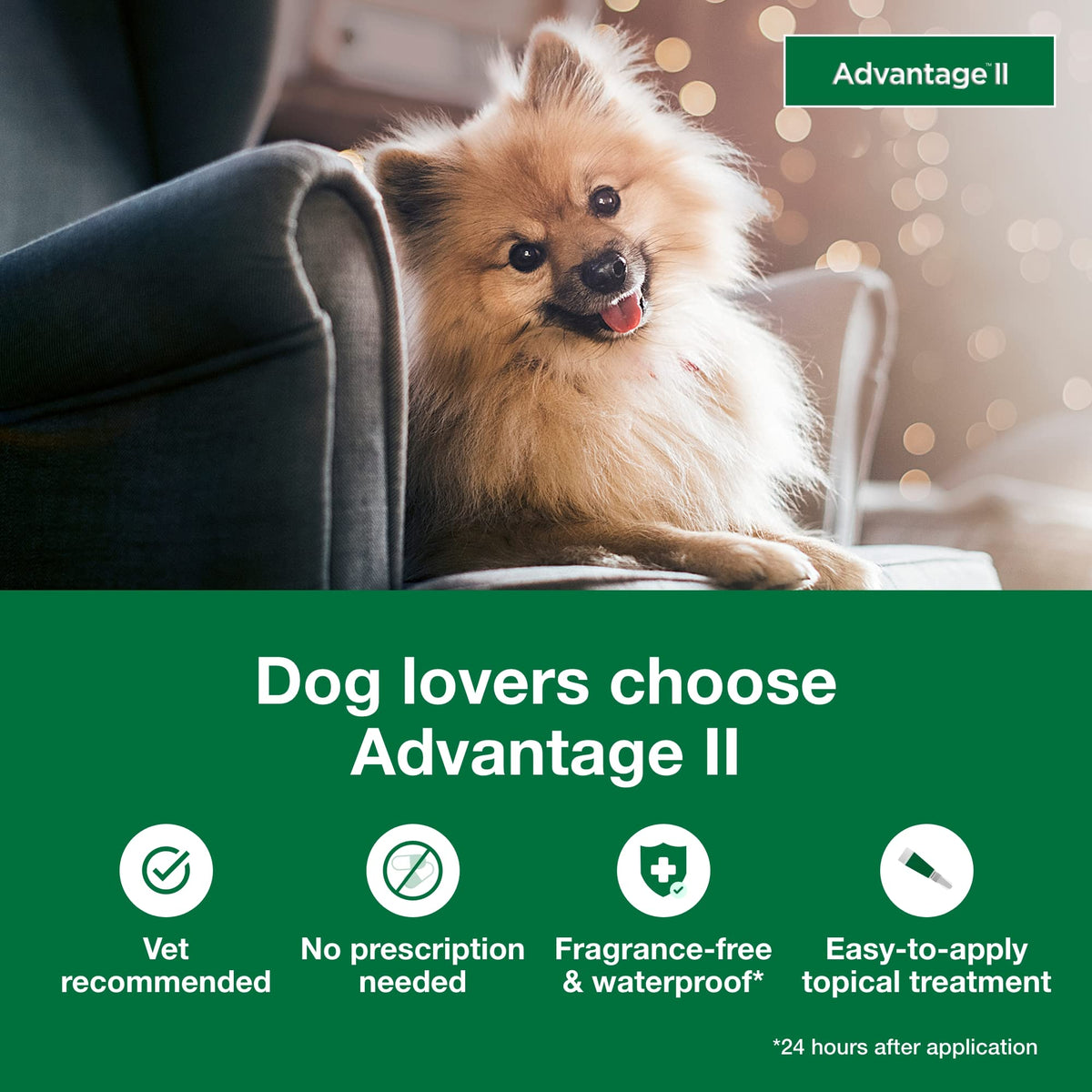 Small Dog Flea Treatment & Prevention 4-Month Supply M916
