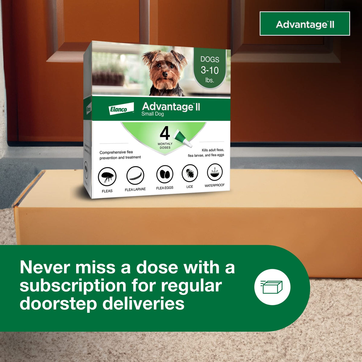 Small Dog Flea Treatment & Prevention 4-Month Supply M916
