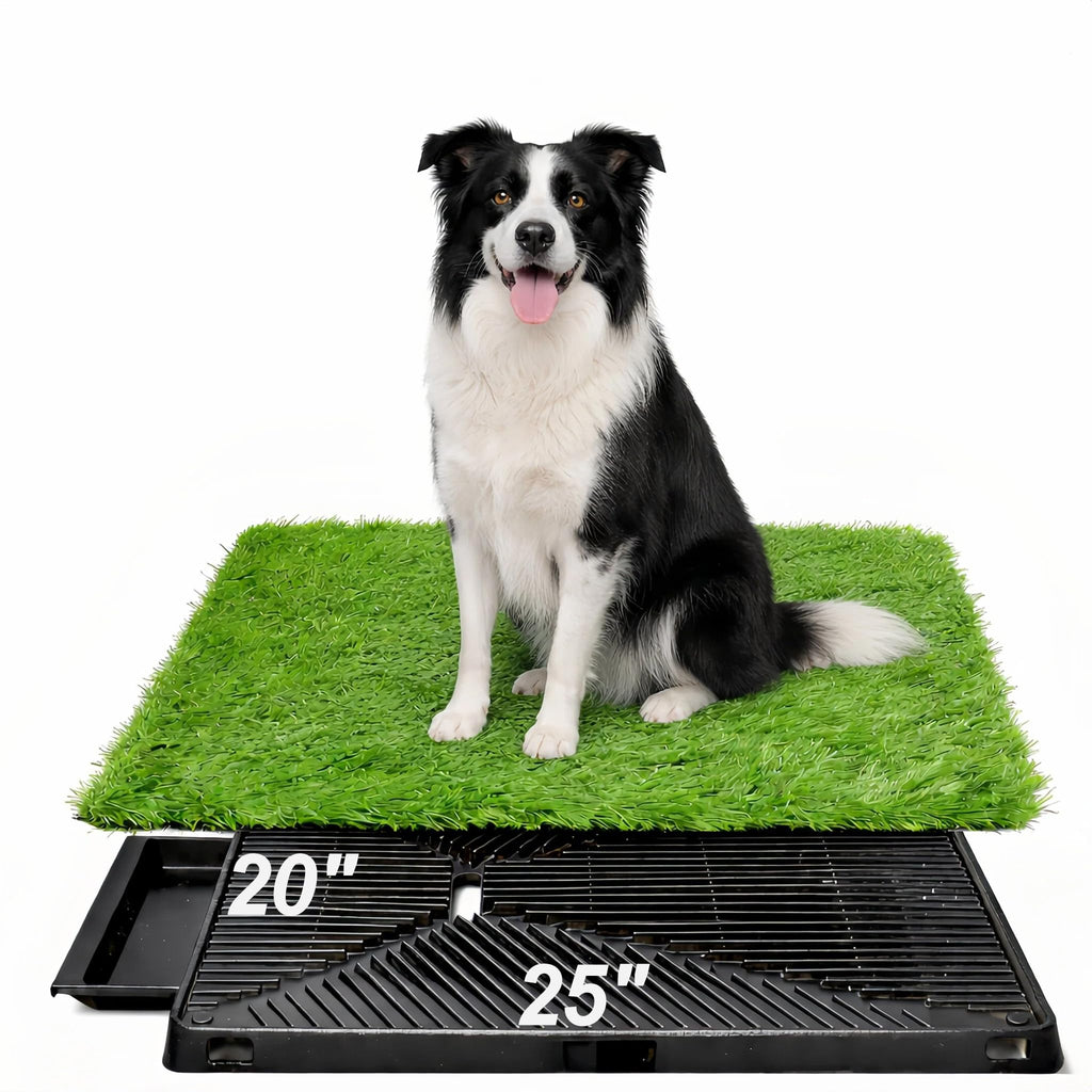 25" x 20" Artificial Grass Dog Potty Training Pad with Tray F363955