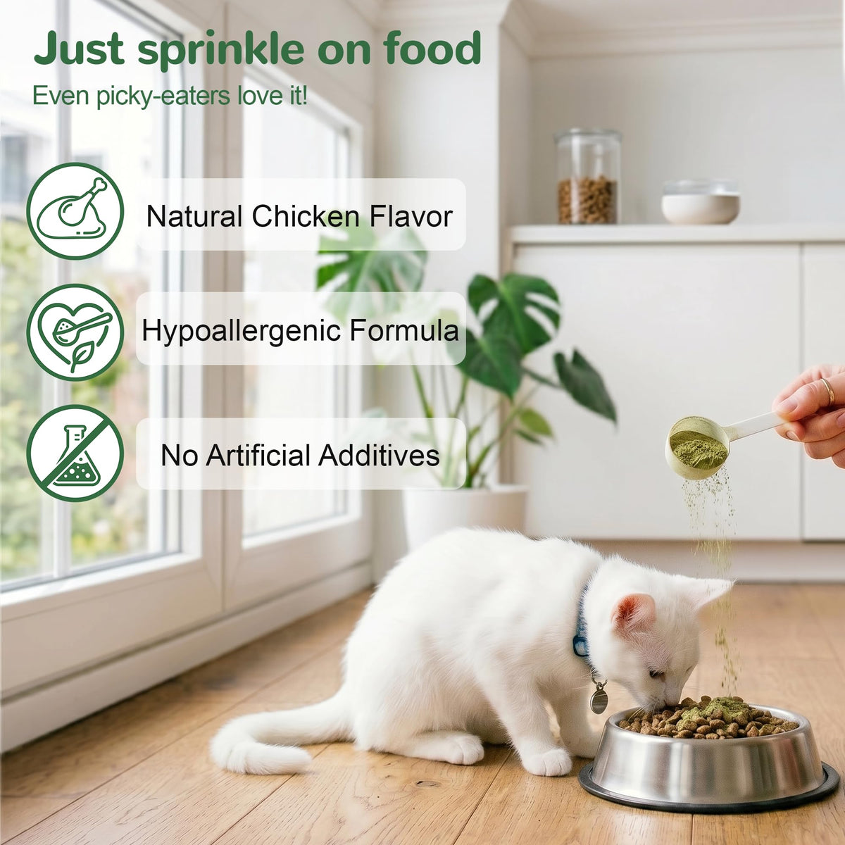 Cat Dental Care Powder with Probiotics 80g A327384
