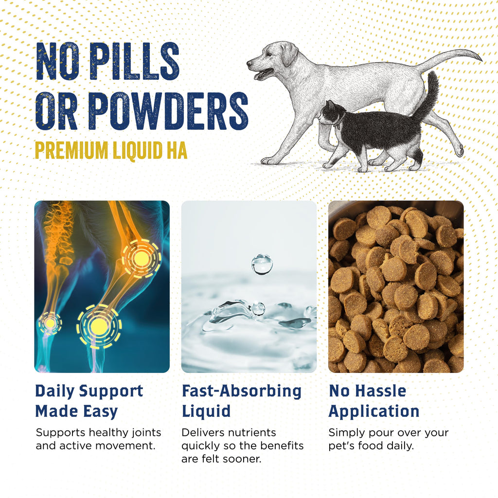 Hyaluronic Acid Hip & Joint Supplement for Dogs & Cats, 16 oz K85257
